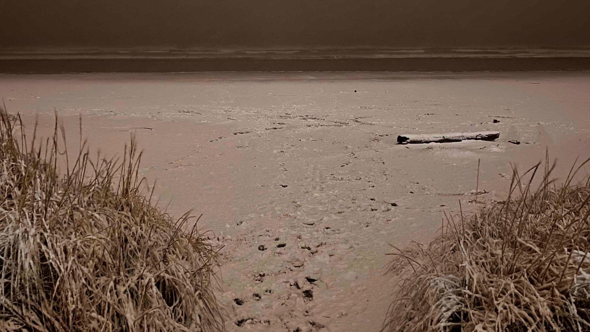 Listening to the Ocean